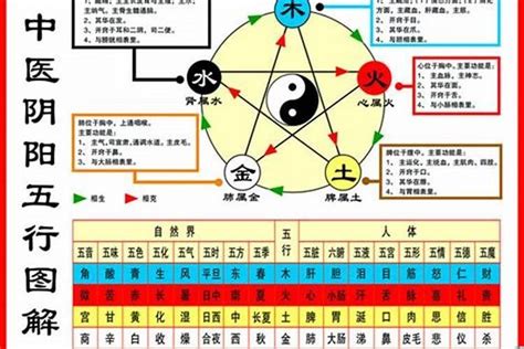 1984年生肖五行|1984年屬鼠是什麼命？最全鼠命命相批註！